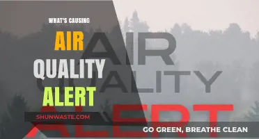 Unveiling the Sources: Understanding Air Quality Alerts