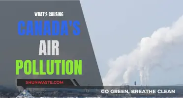 Canada's Air Pollution: The Root Cause Analysis