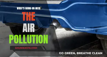 Air Pollution: The Toxic Truth Unveiled