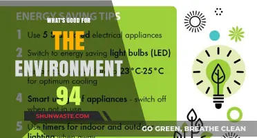 Eco-Friendly Tips: 94 Ways to Protect Our Planet and Thrive