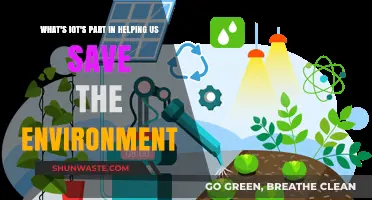 IoT's Green Revolution: How Smart Tech Helps Save Our Planet