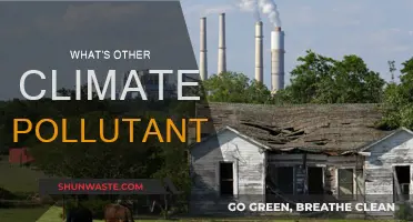 Climate Change: Other Pollutants, What Are They?