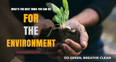 Sustainable Living: Simple Eco-Friendly Actions for a Greener Planet