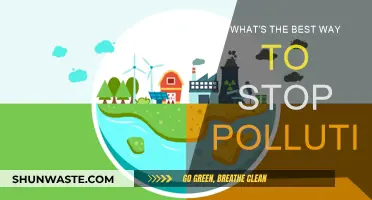 Fight Pollution: Strategies for a Cleaner World