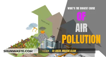 Air Pollution: The Main Culprit Revealed