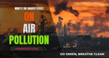 The Impact of Human Activity on Air Pollution