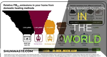 The World's Deadliest Pollution Crisis