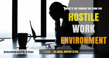Understanding Today's HR Terminology for Hostile Workplace Conditions