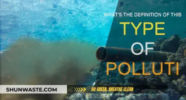 Understanding Pollution: Defining Environmental Threats