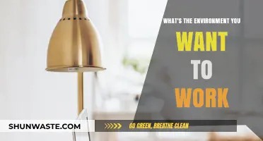 Crafting Your Ideal Work Environment: Culture, Space, and Growth