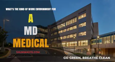 Exploring the Ideal Work Environment for MD Medical Professionals
