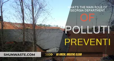 Georgia's Pollution Prevention: Protecting the Environment