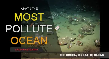 The Ocean's Pollution Crisis: Which is the Worst Offender?