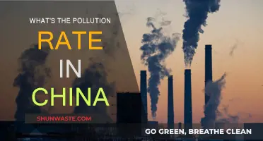 China's Pollution Crisis: Current State and Future Outlook