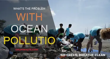 Ocean Pollution: A Global Crisis