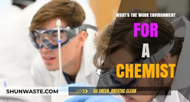 Exploring the Daily Work Environment of a Chemist: Insights and Expectations