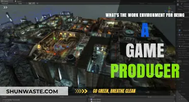 Exploring the Dynamic Work Environment of a Game Producer