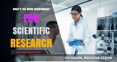 Exploring the Collaborative and Innovative Work Environment in Scientific Research