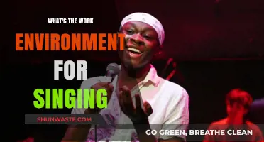 Exploring the Unique Work Environment for Singers: Challenges and Rewards