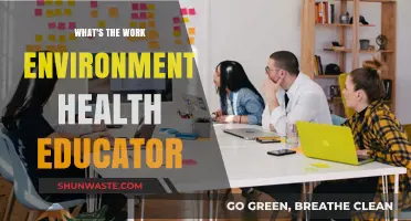 Exploring the Dynamic Work Environment of a Health Educator