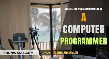 Exploring the Daily Work Environment of a Computer Programmer