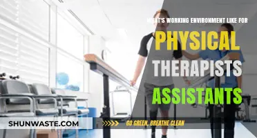 Exploring the Daily Work Life of Physical Therapist Assistants