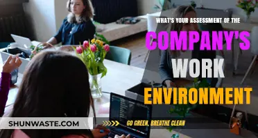 Assessing the Company's Work Environment: Culture, Productivity, and Employee Satisfaction