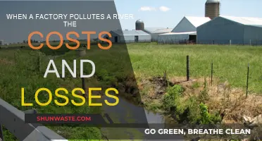 The True Cost of Factory Pollution in Our Rivers