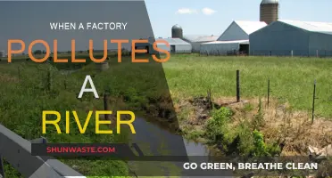 Factory Pollution: The River's Plight