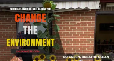 Nurturing Blooms: Transforming Environments for Flowers That Struggle to Flourish