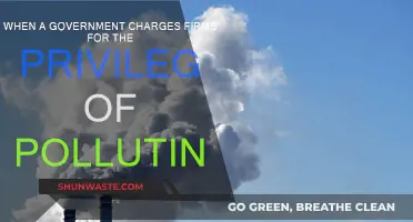 Pollution Privileges: Government Charges for Firms' Misdeeds