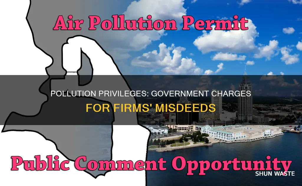 when a government charges firms for the privilege of polluting