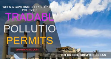 Pollution Permits: Government's Trade-off for Cleaner Future?