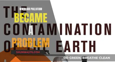 The Air Pollution Crisis: When Did It Start?