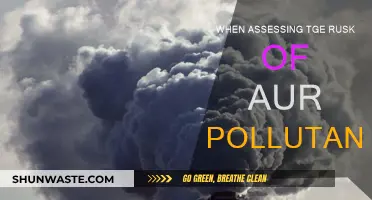 Understanding Pollutant Risks: Assessing the Dangers