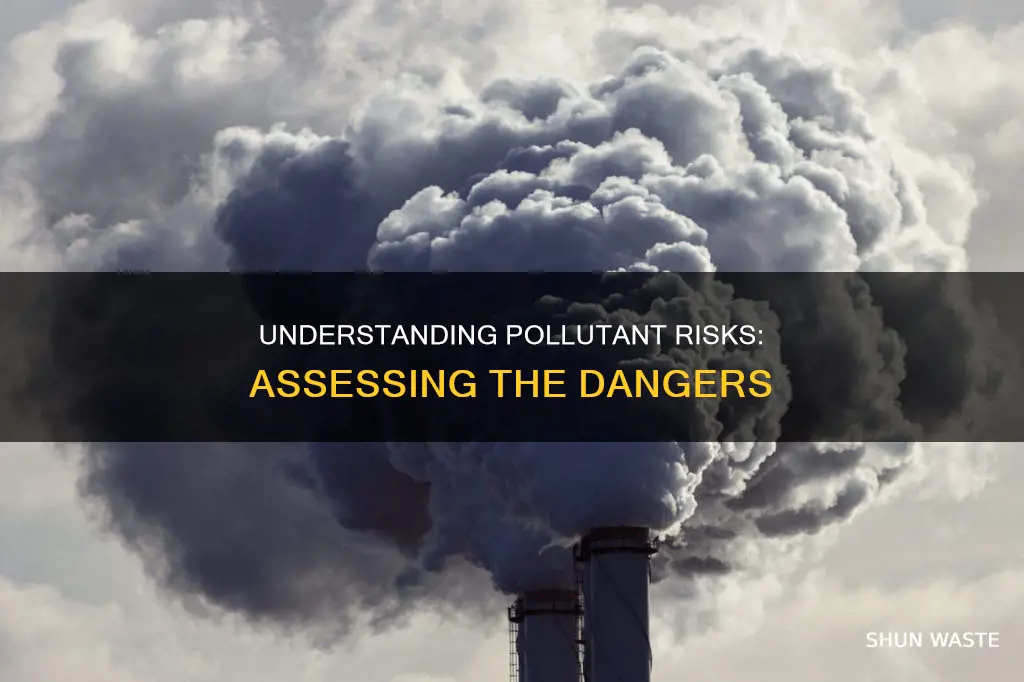 when assessing tge rusk of aur pollutants