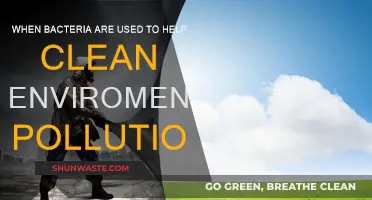 Bacteria: Nature's Eco-Friendly Cleaners