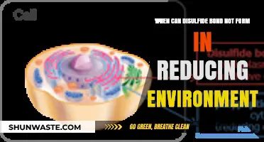 Disulfide Bonds: Why They Fail in Reducing Environments
