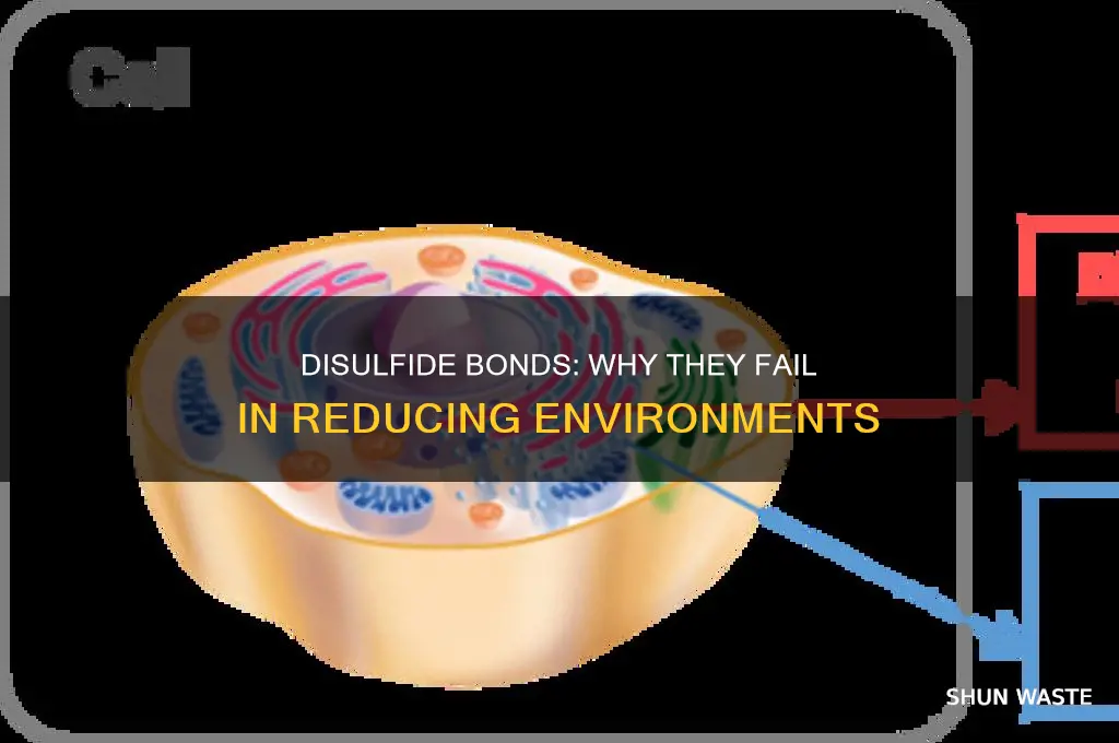 when can disulfide bond not form in reducing environment