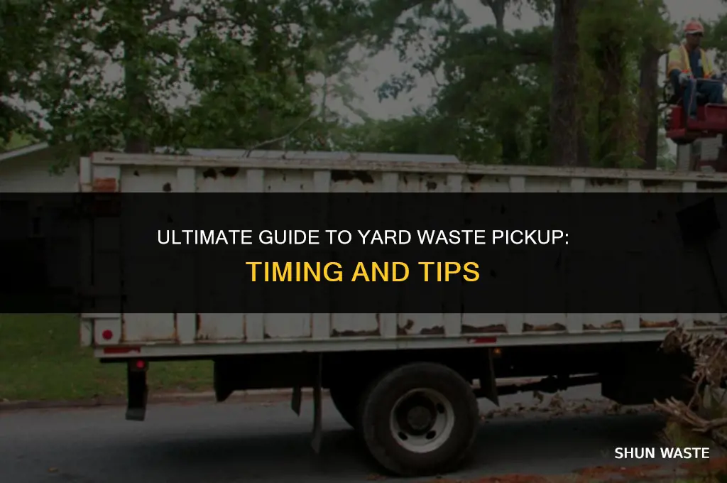 when can i leave yard waste out for trash pickup