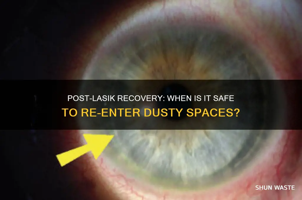 when can i return to dusty environments after lasik