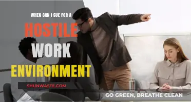 When Can You Sue for a Hostile Work Environment?