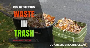 Eco-Friendly Disposal: When to Toss Lawn Waste in the Trash