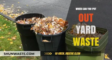 Eco-Friendly Yard Waste Disposal: A Seasonal Guide