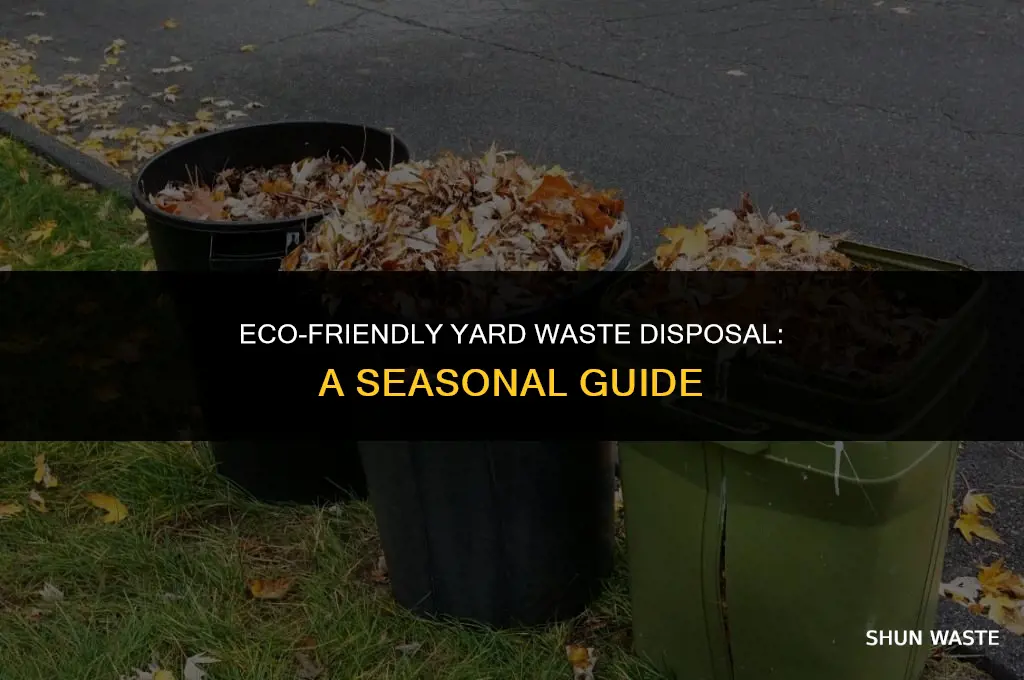 when can you put out yard waste