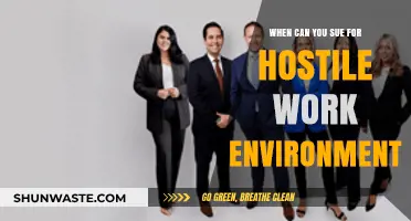 When Can You Sue for Hostile Work Environment: Legal Insights
