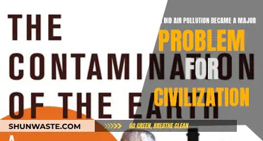 Air Pollution's Dark History: A Civilizational Crisis