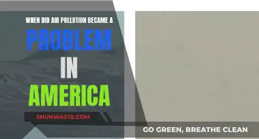 Air Pollution's American History: A Problem's Roots