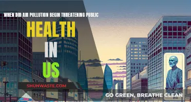 Air Pollution's Dark History: A US Health Crisis