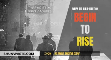Air Pollution's Rise: A Historical Perspective